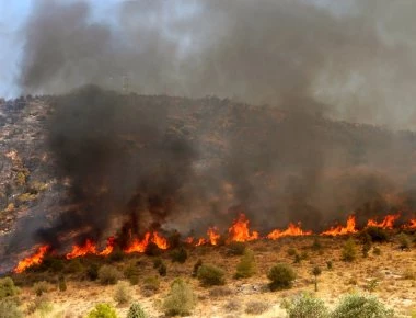 Αμαλιάδα: Σύλληψη 51χρονου για εμπρησμό - Τον τράβηξαν βίντεο